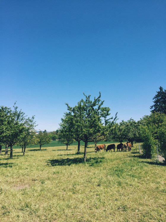 Finally outside again