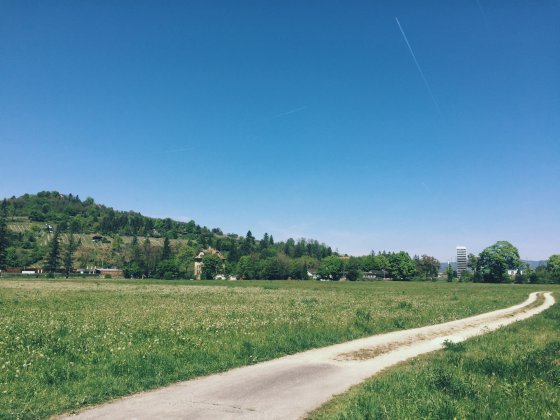 Breathing spring
