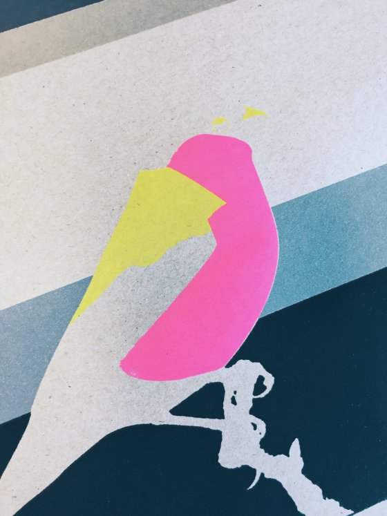 Bird in Progress