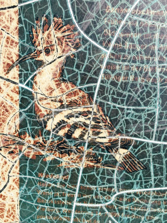 Cracked bird I