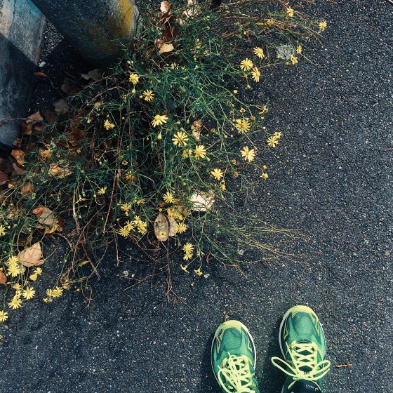 Adjacent Colors