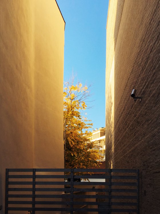 Squeezed Fall 