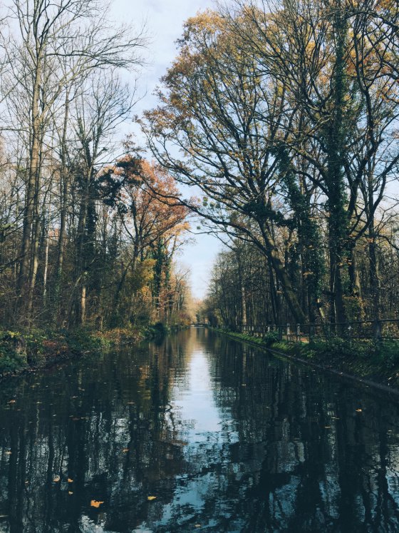 Reflections of November