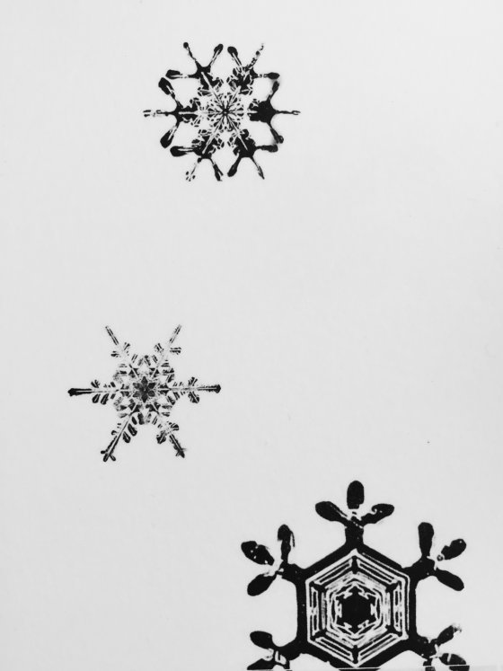 Inverted Snowflakes