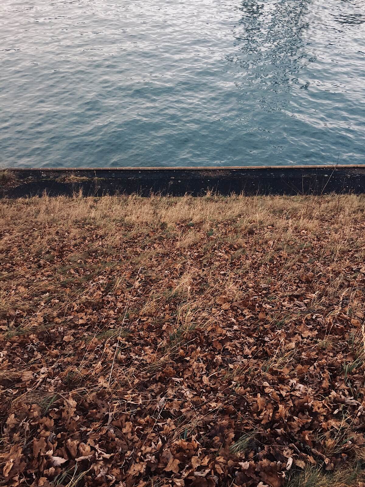 River Shore