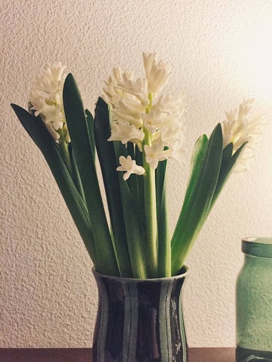 Spring anteprima