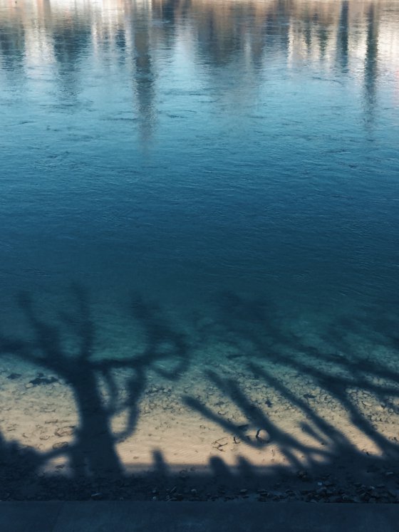 Trees