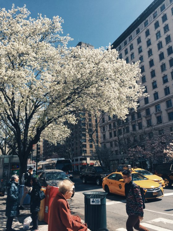 Springtime