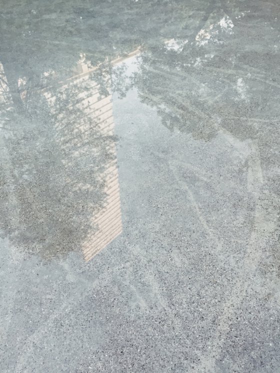 Reflection