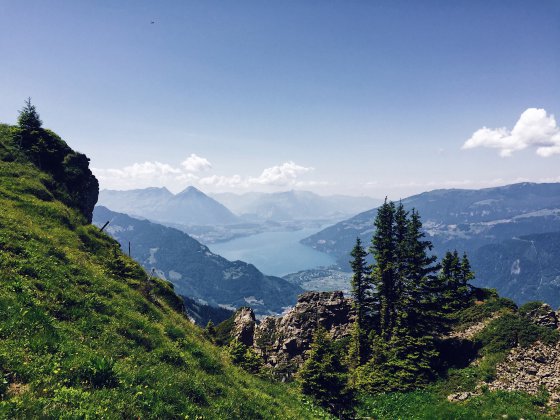 Lake Thun