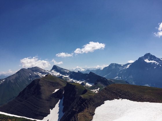 Summer snow