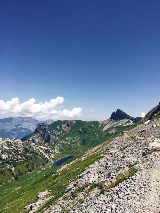 Above the tree line