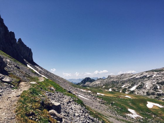 Above the tree line