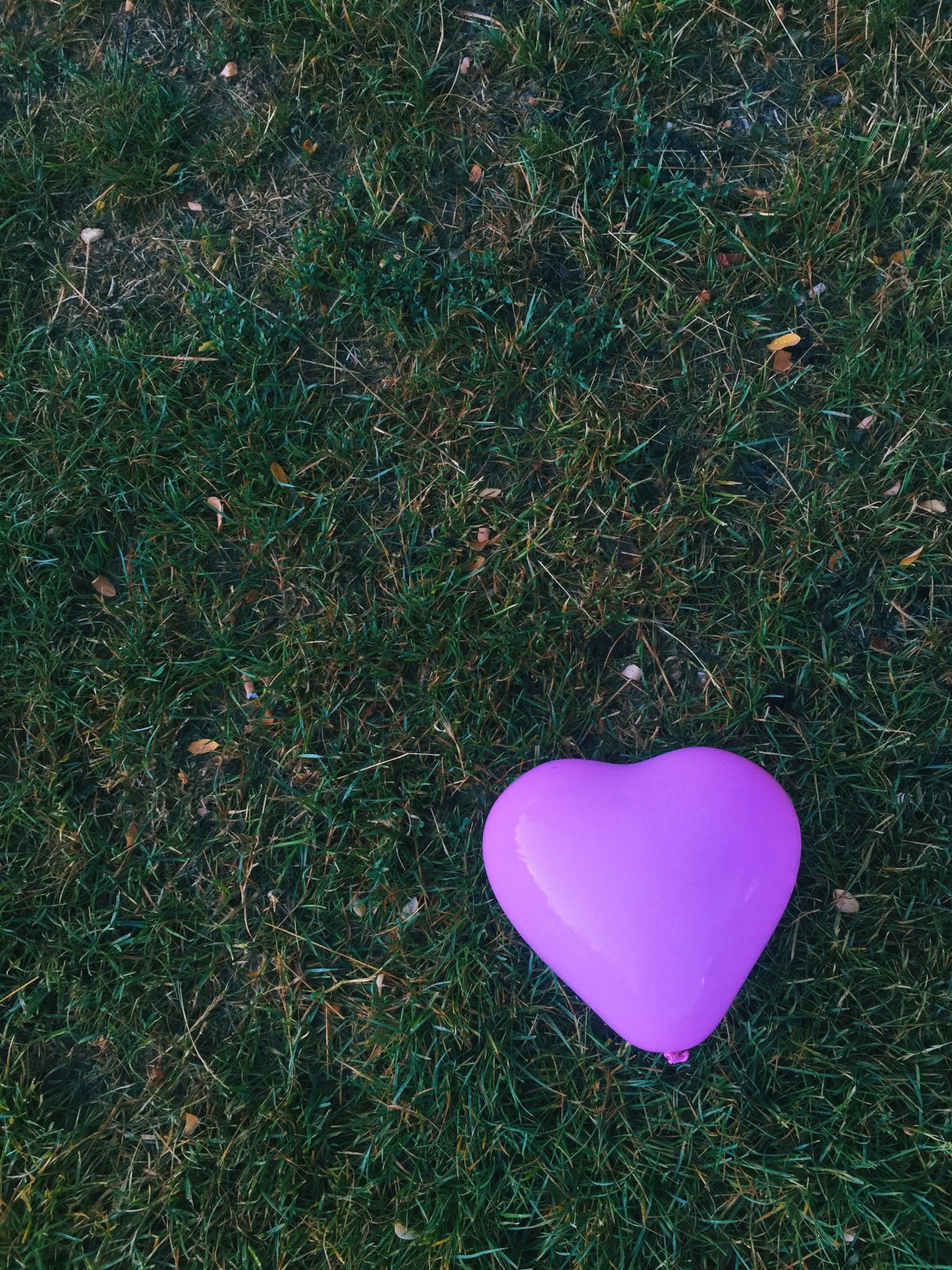 I found love