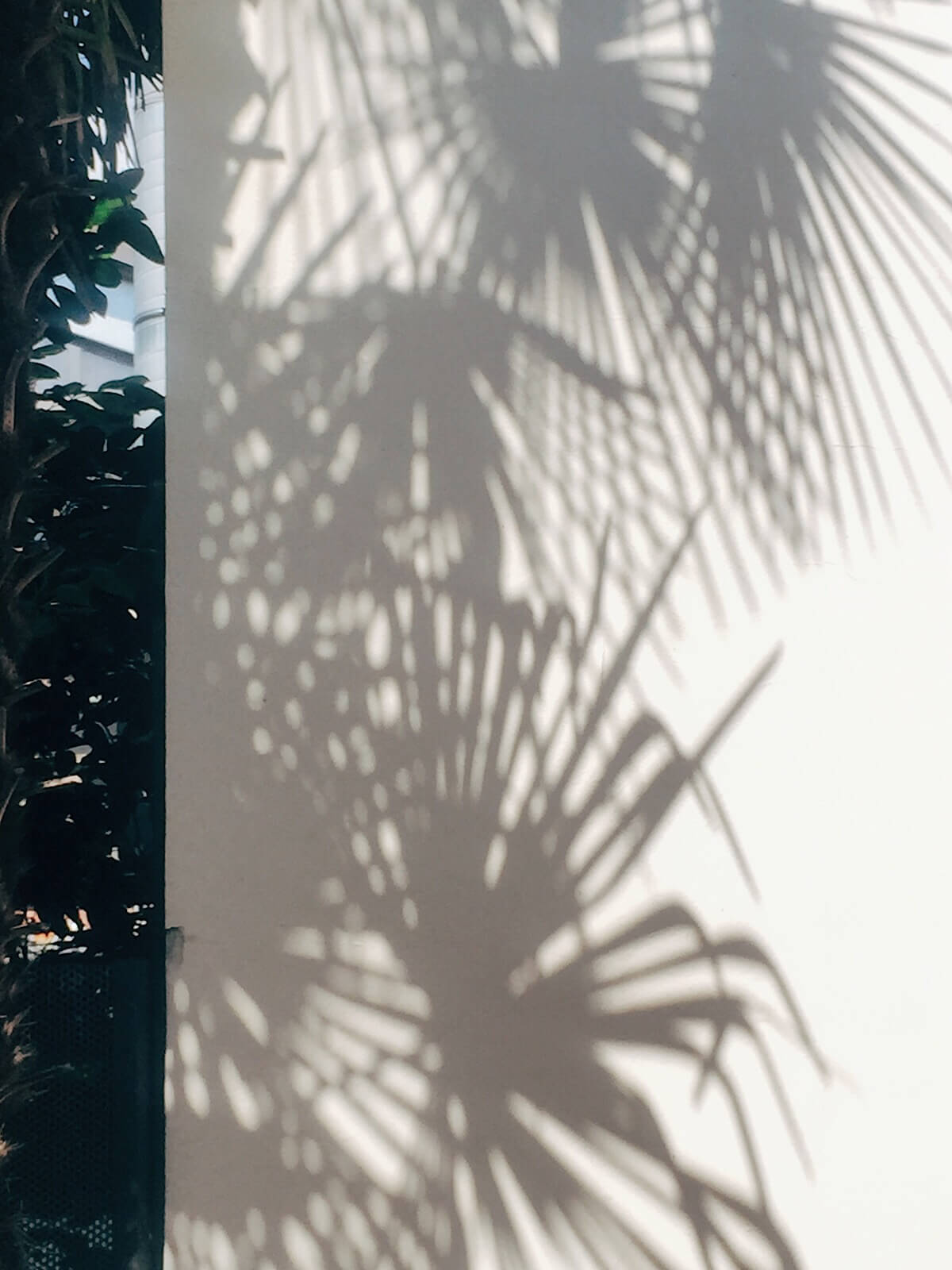 Mediterrean Shadows