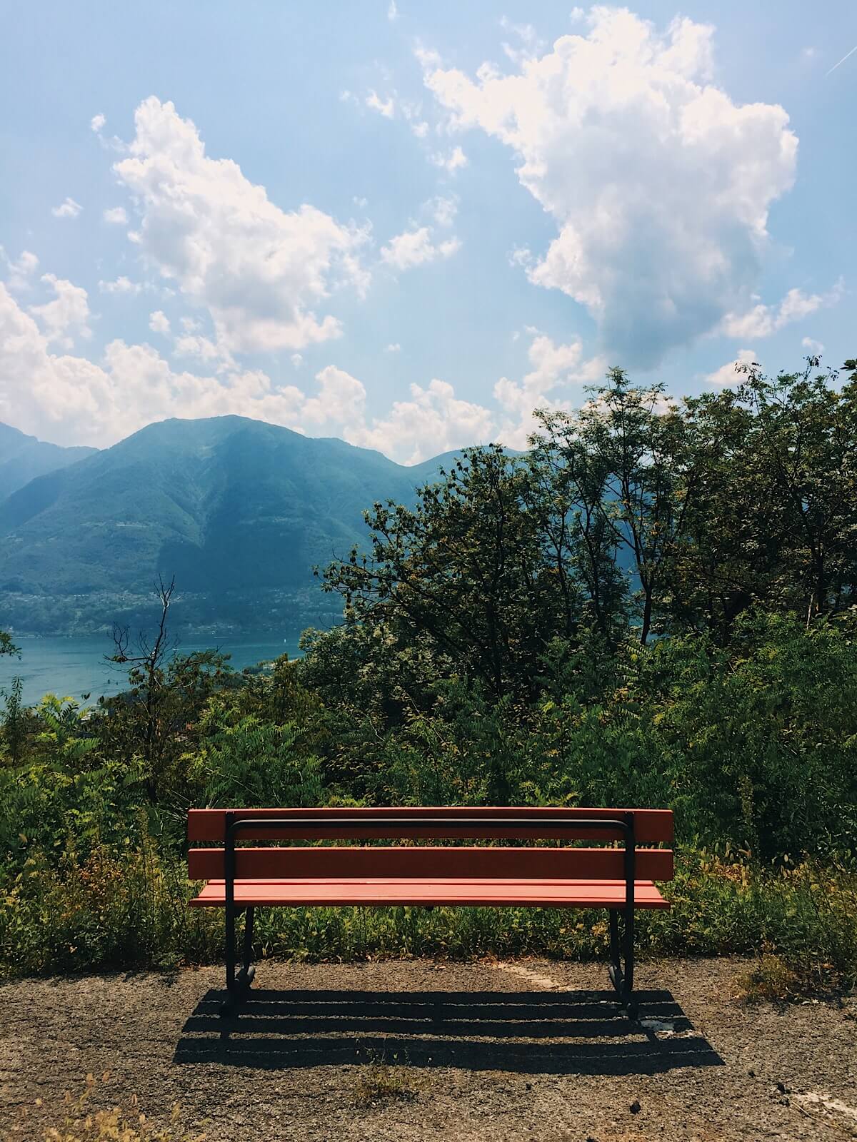 Pause. Dream. Reflect.