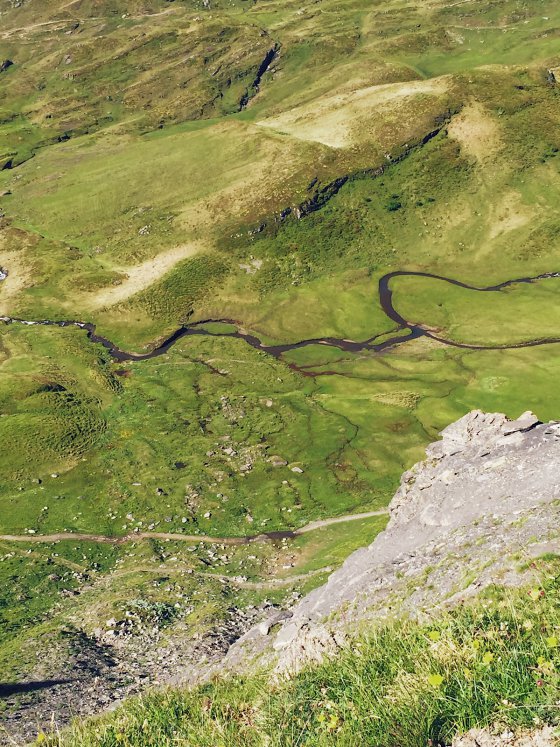 Alpine Riverbed
