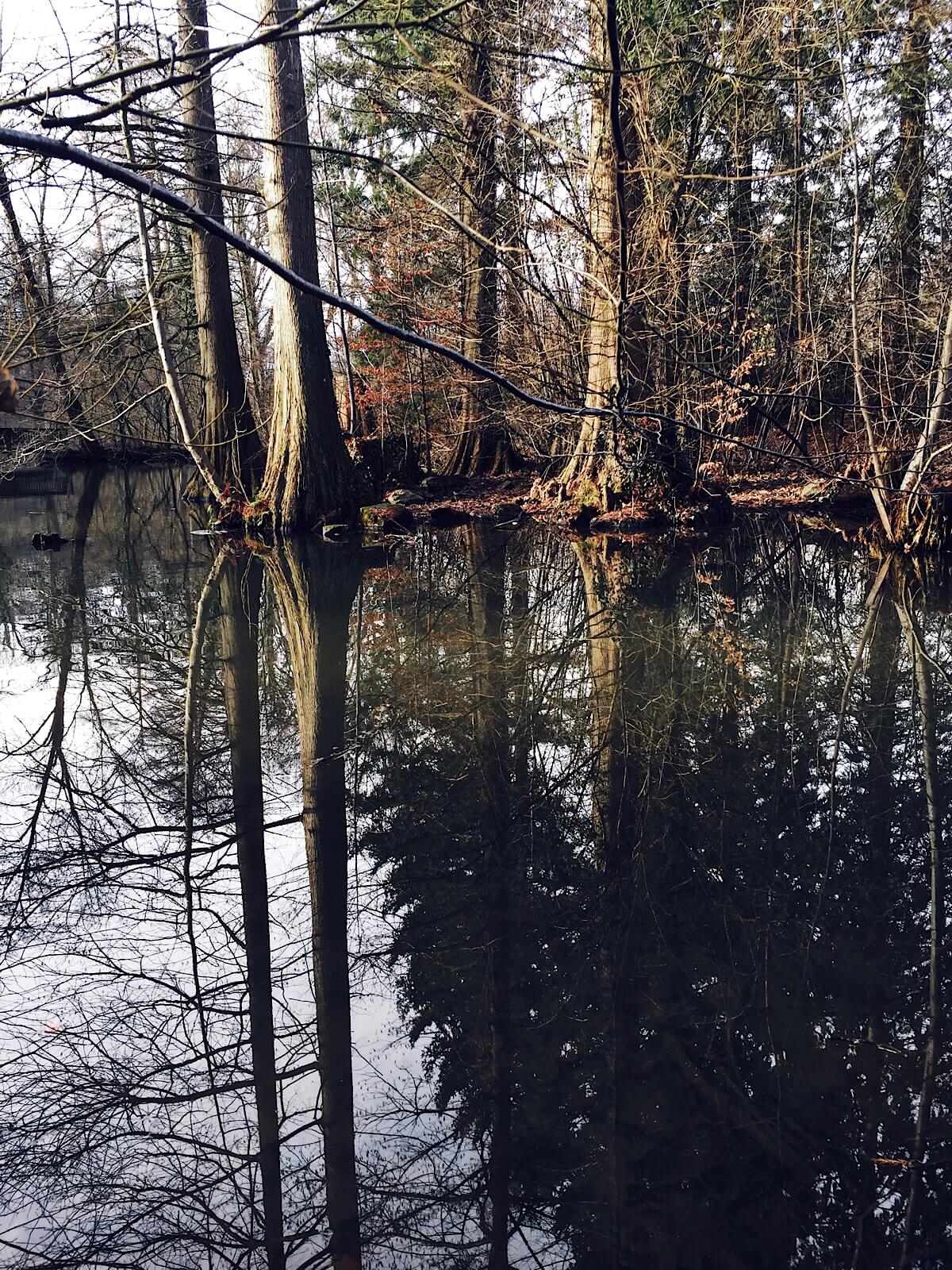 Reflections