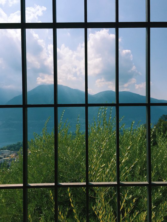 Imprissioned Landscape