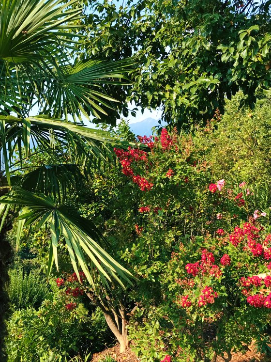 Botanical abundance