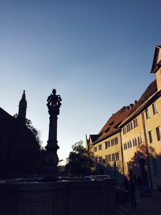 Evening light