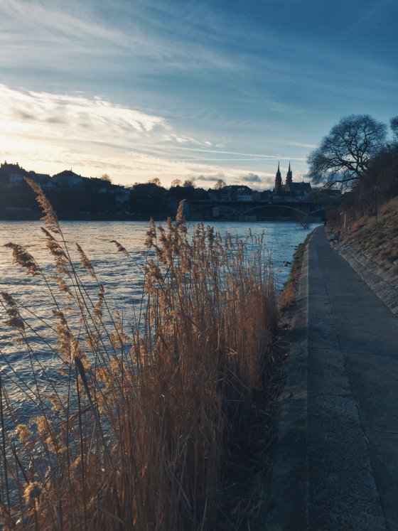 Winter Solstice Days
