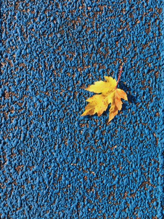 Contrast