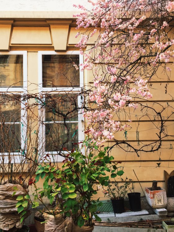 Early Spring