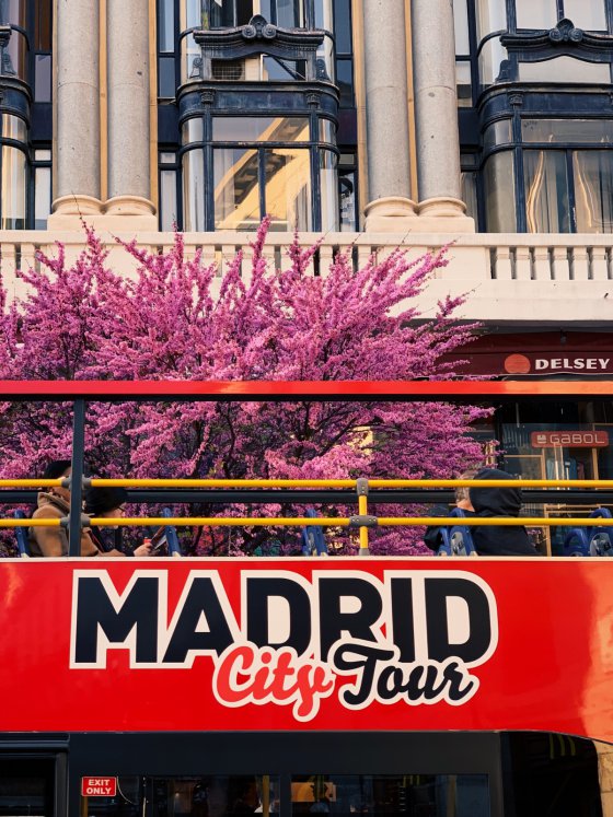 City Tour