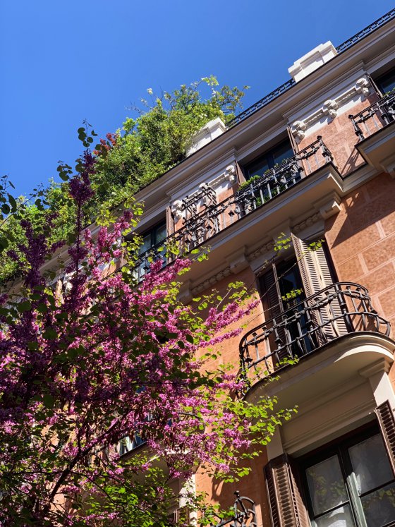 Springtime in Chueca