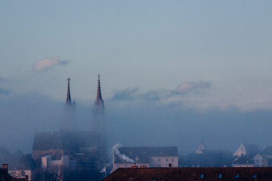 Mystical Morning