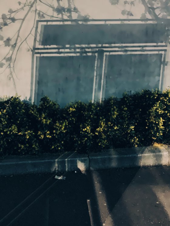 Shadows on the wall