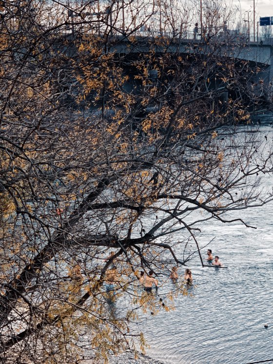 Winter swimming