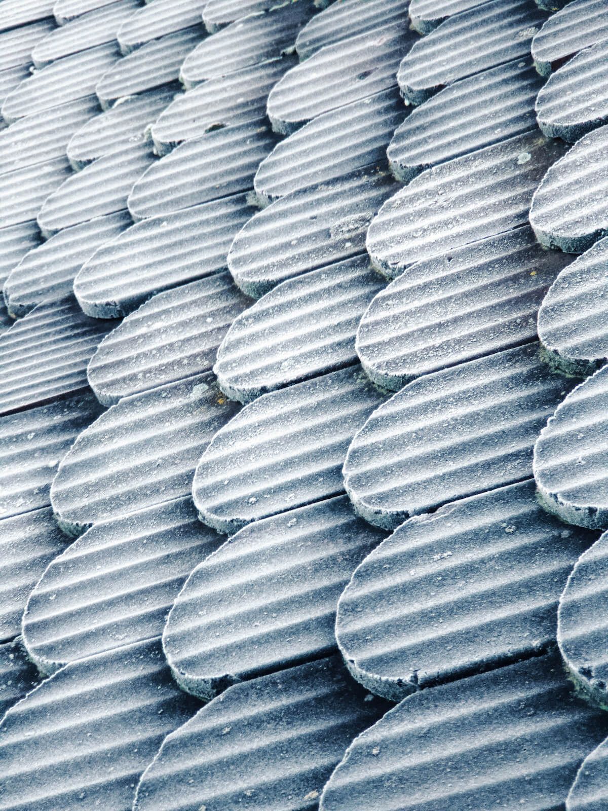 Frosty Roof