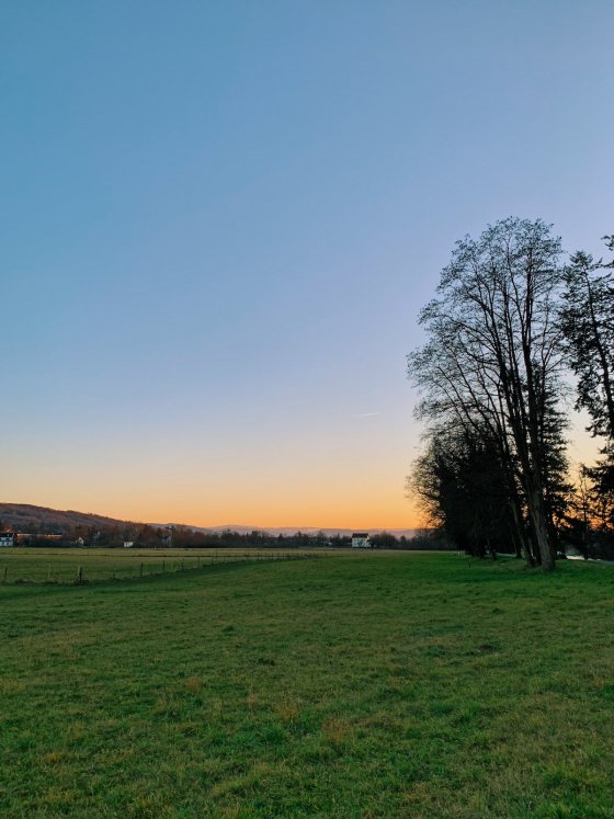 Peaceful evening